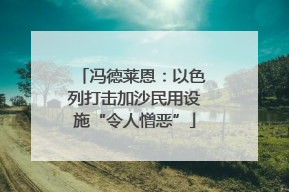 冯德莱恩：以色列打击加沙民用设施“令人憎恶”