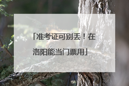 准考证可别丢！在洛阳能当门票用