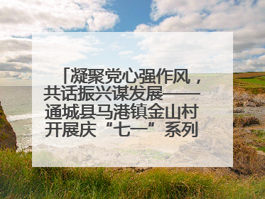 凝聚党心强作风，共话振兴谋发展——通城县马港镇金山村开展庆“七一”系列庆祝活动
