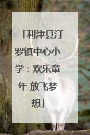 利津县汀罗镇中心小学：欢乐童年 放飞梦想