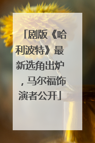 剧版《哈利波特》最新选角出炉，马尔福饰演者公开