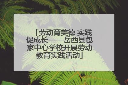 劳动育美德 实践促成长——岳西县包家中心学校开展劳动教育实践活动