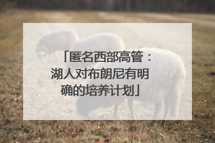 匿名西部高管：湖人对布朗尼有明确的培养计划