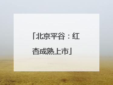 北京平谷：红杏成熟上市