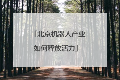 北京机器人产业如何释放活力