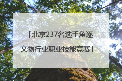 北京237名选手角逐文物行业职业技能竞赛