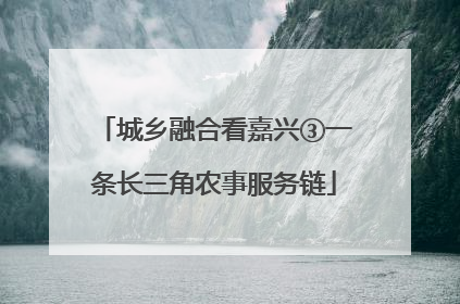城乡融合看嘉兴③一条长三角农事服务链