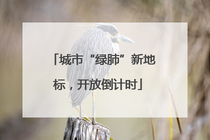 城市“绿肺”新地标，开放倒计时