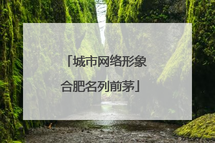 城市网络形象合肥名列前茅