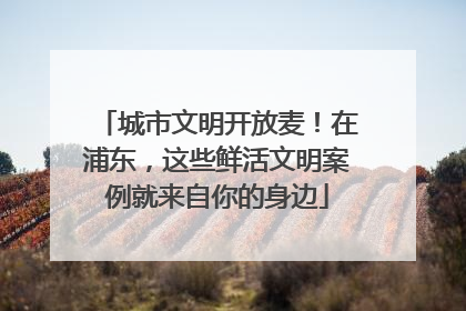 城市文明开放麦！在浦东，这些鲜活文明案例就来自你的身边