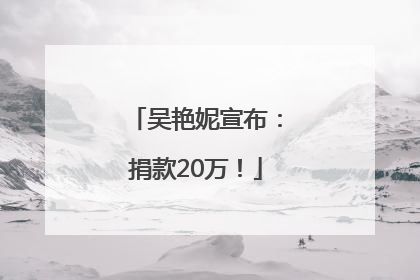 吴艳妮宣布：捐款20万！