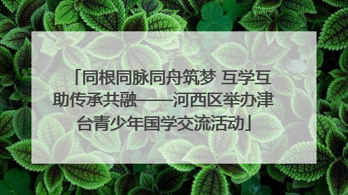 同根同脉同舟筑梦 互学互助传承共融——河西区举办津台青少年国学交流活动