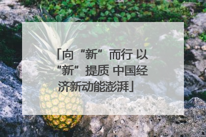 向“新”而行 以“新”提质 中国经济新动能澎湃