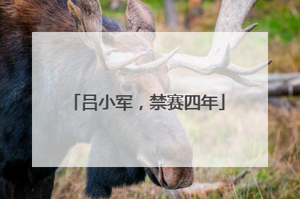 吕小军，禁赛四年