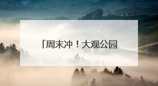 周末冲！大观公园双色睡莲惊艳绽放