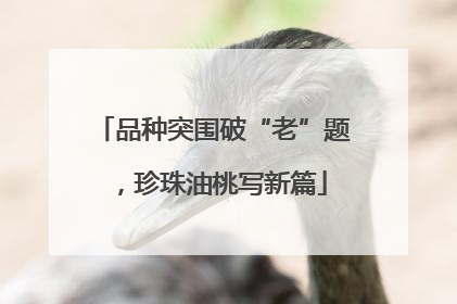 品种突围破“老”题，珍珠油桃写新篇