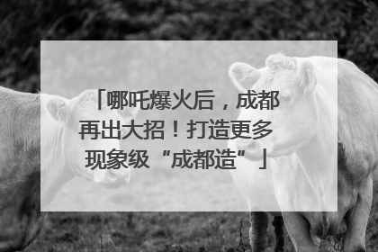 哪吒爆火后，成都再出大招！打造更多现象级“成都造”
