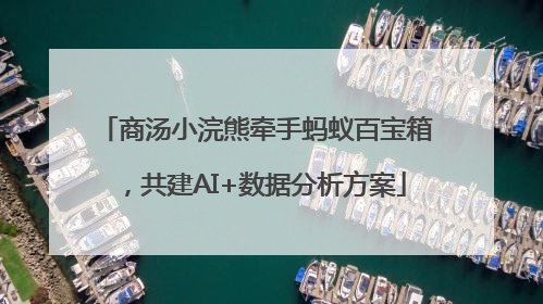 商汤小浣熊牵手蚂蚁百宝箱，共建AI+数据分析方案