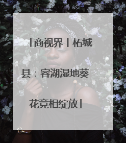 商视界丨柘城县：容湖湿地葵花竞相绽放
