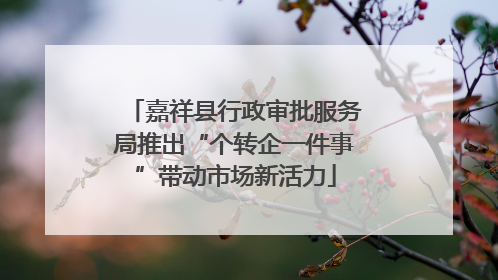 嘉祥县行政审批服务局推出“个转企一件事”带动市场新活力
