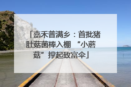 嘉禾普满乡：首批猪肚菇菌棒入棚 “小蘑菇”撑起致富伞