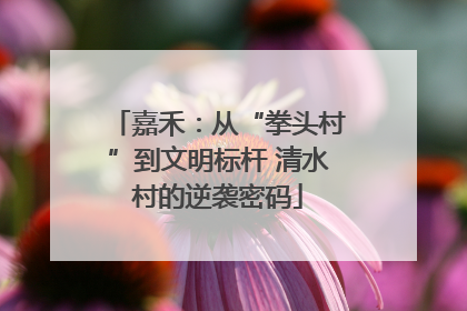 嘉禾：从“拳头村”到文明标杆 清水村的逆袭密码