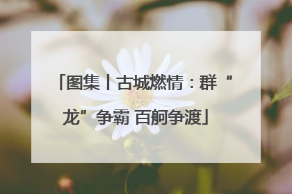 图集丨古城燃情：群“龙”争霸 百舸争渡