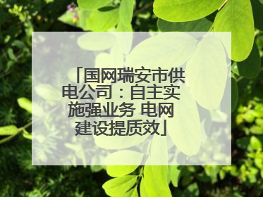 国网瑞安市供电公司：自主实施强业务 电网建设提质效