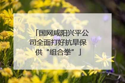 国网咸阳兴平公司全面打好抗旱保供“组合拳”