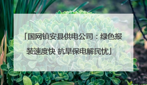国网镇安县供电公司：绿色报装速度快 抗旱保电解民忧