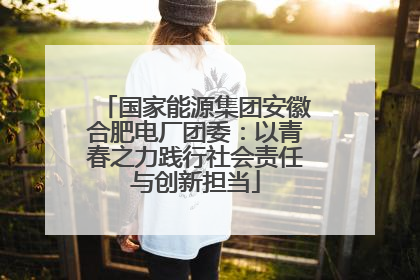 国家能源集团安徽合肥电厂团委：以青春之力践行社会责任与创新担当