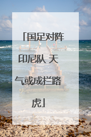 国足对阵印尼队 天气或成拦路虎