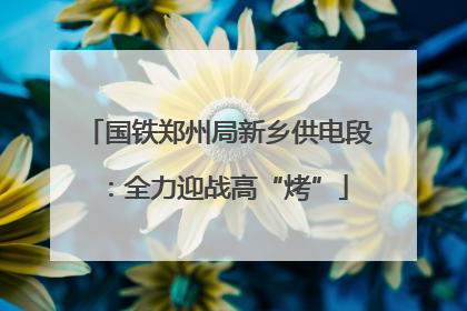 国铁郑州局新乡供电段：全力迎战高“烤”