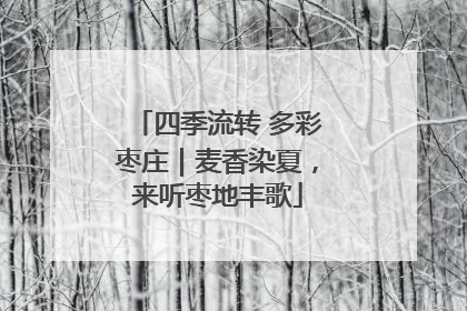 四季流转 多彩枣庄｜麦香染夏，来听枣地丰歌