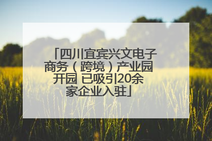 四川宜宾兴文电子商务（跨境）产业园开园 已吸引20余家企业入驻