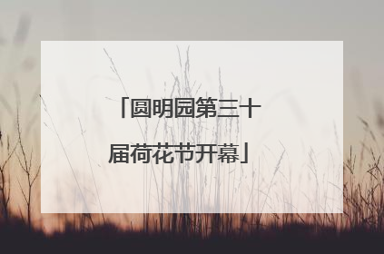 圆明园第三十届荷花节开幕
