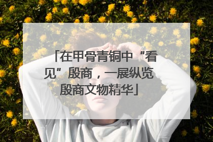 在甲骨青铜中“看见”殷商，一展纵览殷商文物精华