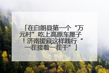 在白朗县第一个“万元村”吃上高原车厘子！济南援藏这样践行“一茬接着一茬干”