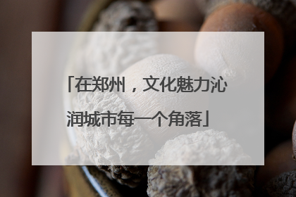 在郑州，文化魅力沁润城市每一个角落