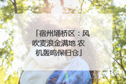 宿州埇桥区：风吹麦浪金满地 农机轰鸣保归仓