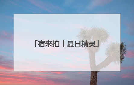 宿来拍丨夏日精灵