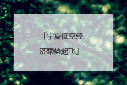 宁夏低空经济乘势起飞