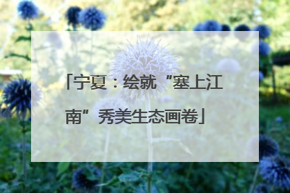 宁夏：绘就“塞上江南”秀美生态画卷