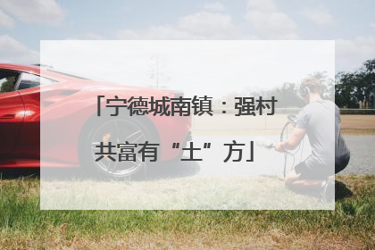 宁德城南镇：强村共富有“土”方