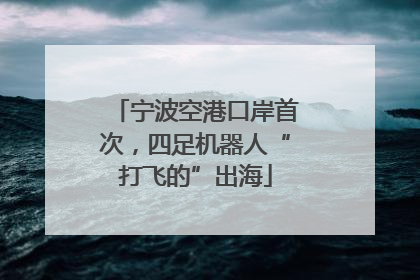 宁波空港口岸首次，四足机器人“打飞的”出海