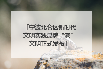 宁波北仑区新时代文明实践品牌“港”文明正式发布