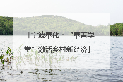 宁波奉化：“奉菁学堂”激活乡村新经济
