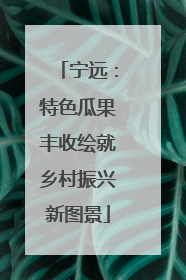 宁远：特色瓜果丰收绘就乡村振兴新图景