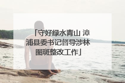 守好绿水青山 漳浦县委书记督导涉林图斑整改工作