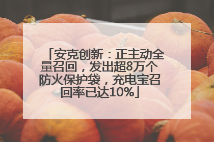 安克创新：正主动全量召回，发出超8万个防火保护袋，充电宝召回率已达10%